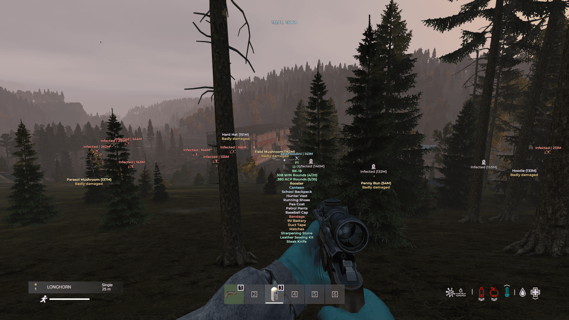 Embedded